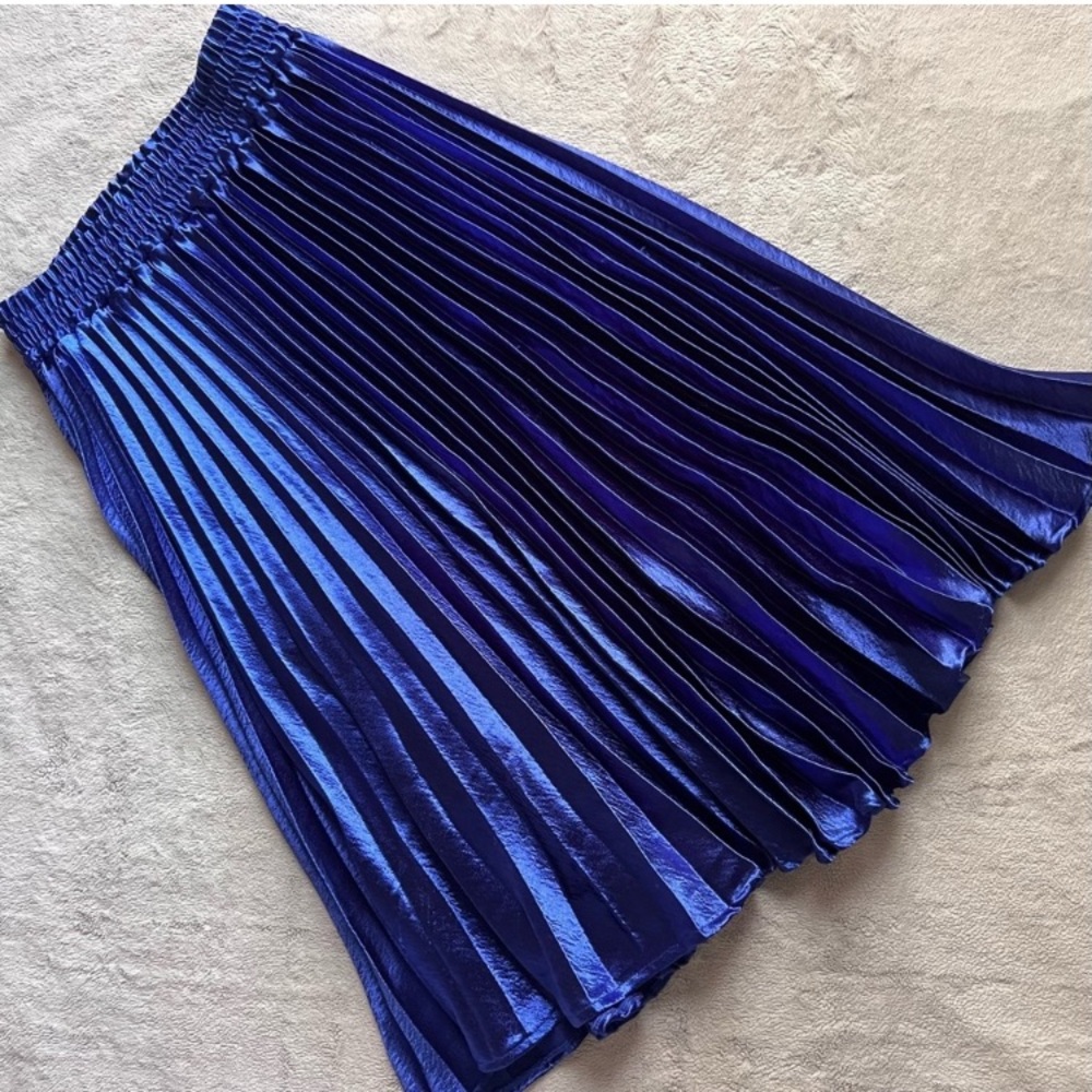 Anthropologie Gemma HD in Paris Blue Pleated Midi Skirt